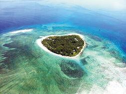 蓝色珊瑚礁在线观看,探寻海底奇观之旅 第1张 蓝色珊瑚礁在线观看,探寻海底奇观之旅 第1张